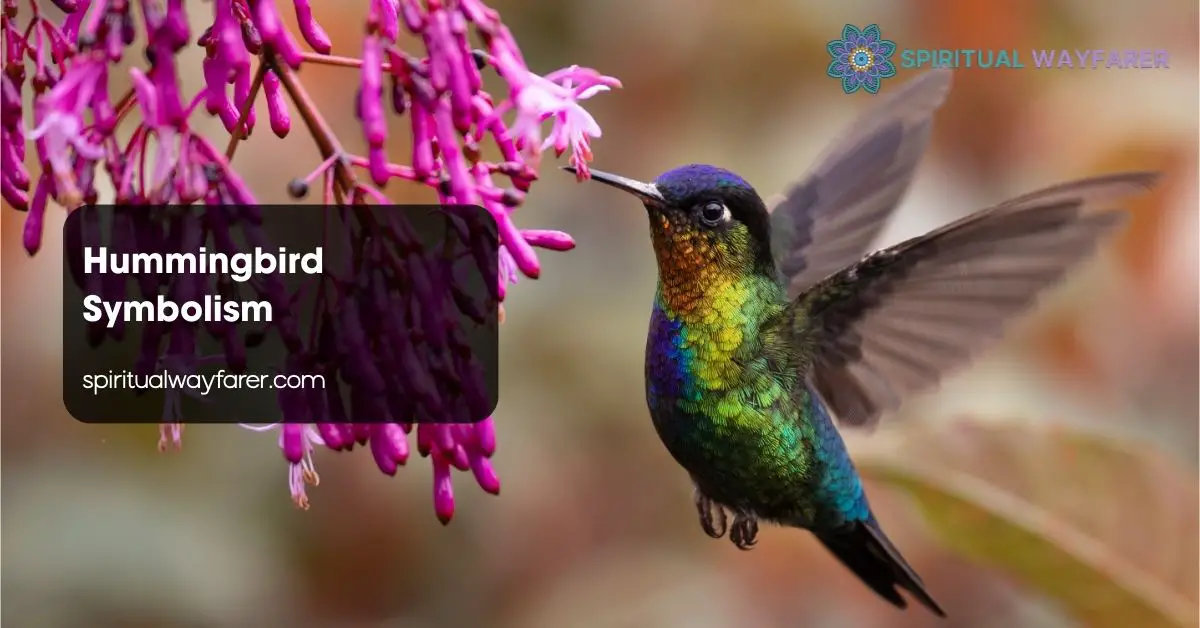 Hummingbird Symbolism