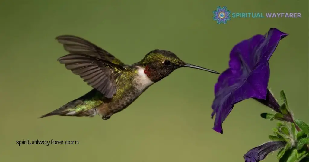 Unlock the Secrets of Hummingbird Symbolism: Meaning, Culture & Inspiration 3 Hummingbirds in Art and Literature