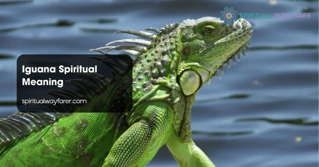 Iguana Spiritual Meaning