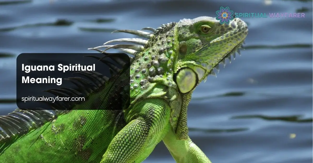 Iguana Spiritual Meaning