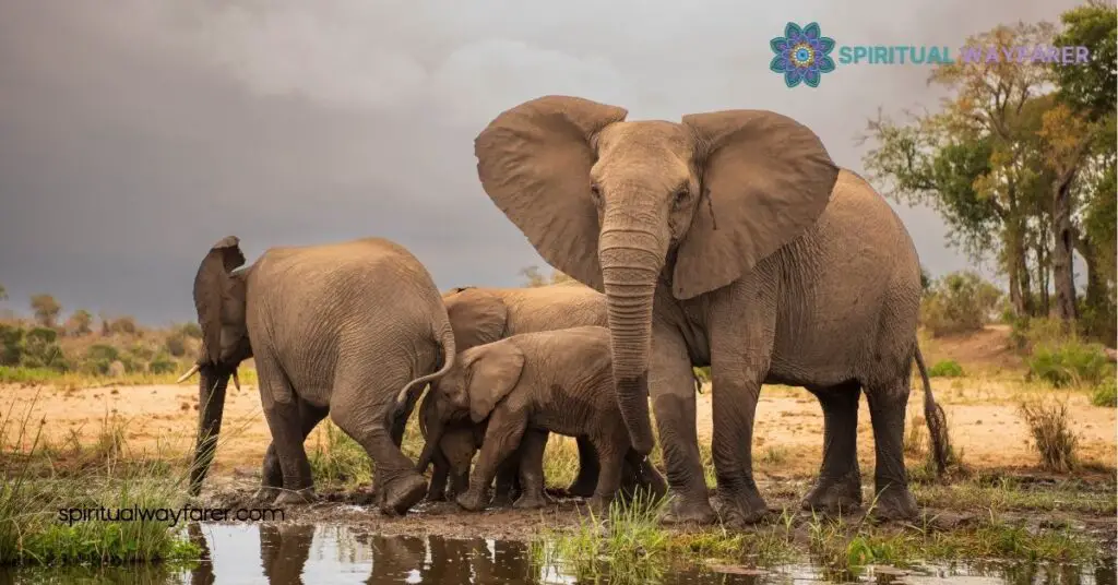 Top 10 Animals That Symbolize Friendship and Inspire Your Relationships 4 Incorporating Friendship Symbols in Daily Life