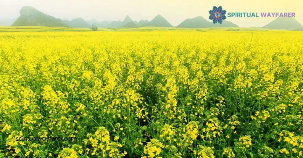 Spiritual Meaning of Green and Yellow: Unlock Growth & Harmony 4 Incorporating Green Yellow into Your Spiritual Routine