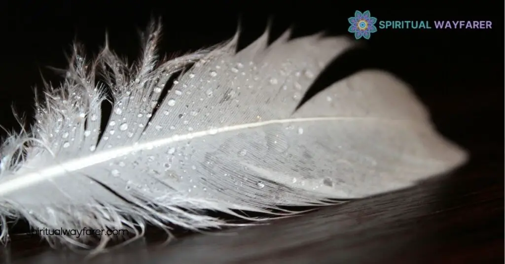 What Does a White Feather Mean in the Bible? Discover Its Spiritual Significance 4 Interpretations and Meanings