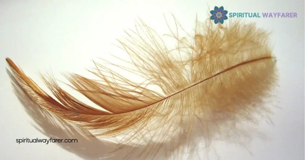 What Are Brown Feathers in the Bible? Uncovering Their Meaning and Significance 3 Interpretations by Biblical Scholars