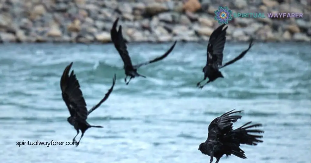 Unveiling the Spiritual Meaning of 4 Crows: Guidance and Transformation Explained 3 Interpreting 4 Crows in Divination
