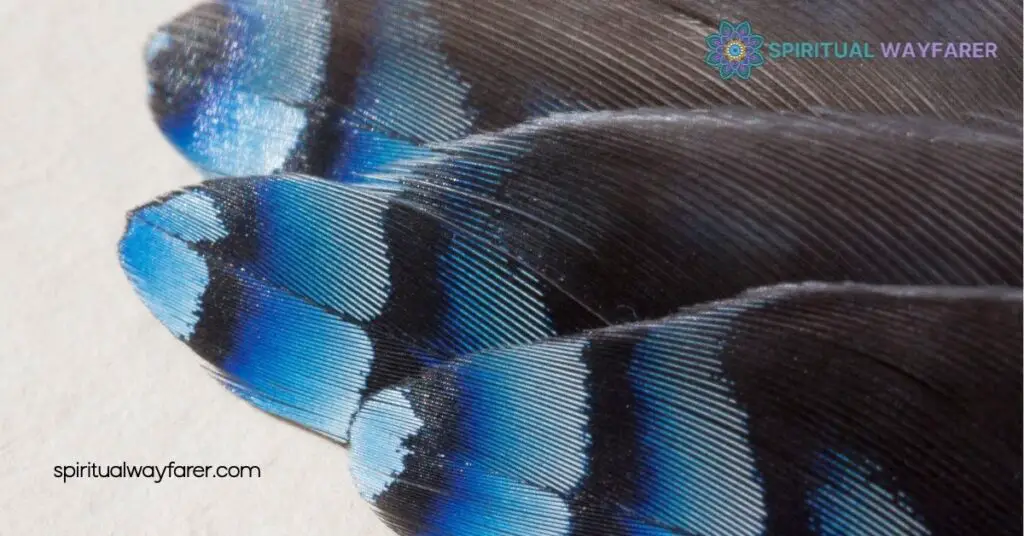 Blue Jay Feather Meaning Love: Unlocking Symbols of Loyalty and Connection 4 Interpreting Encounters With Blue Jay Feathers