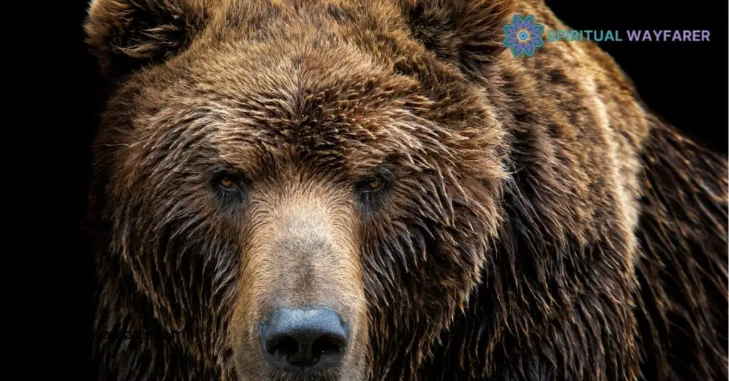 Grizzly Bear Dream Symbolism: Unveil the Hidden Messages in Your Dreams 3 Interpreting Grizzly Bear Encounters in Dreams