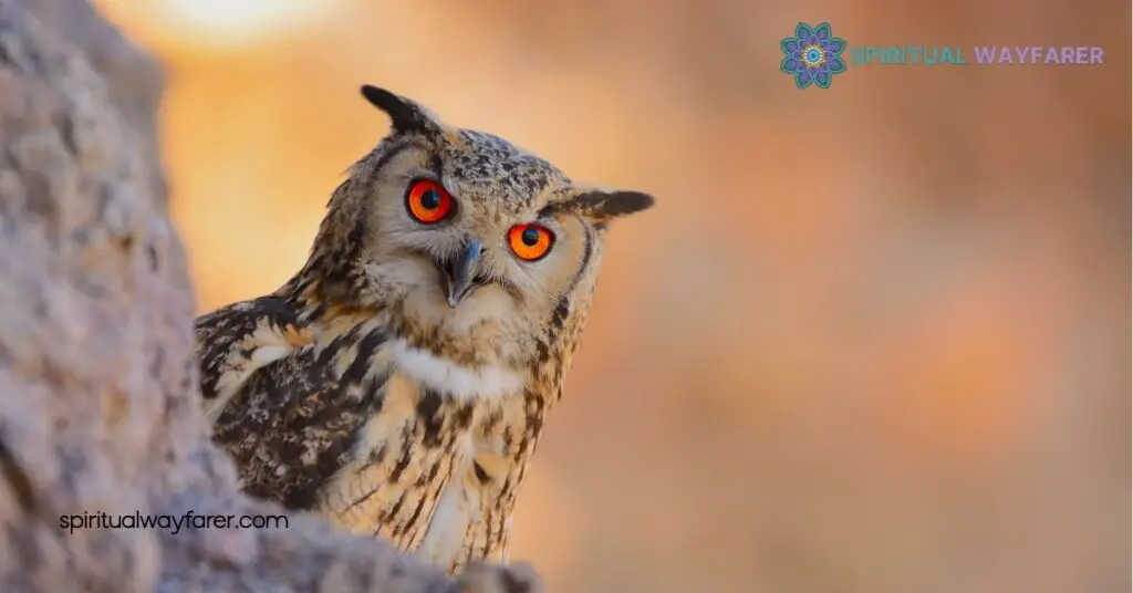 Seeing an Owl During the Day: Unveiling Its Spiritual Meaning 4 Interpreting Your Owl Encounter
