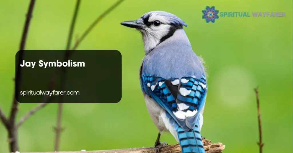Jay Symbolism