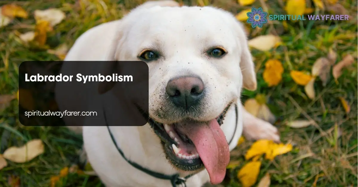 Labrador Symbolism