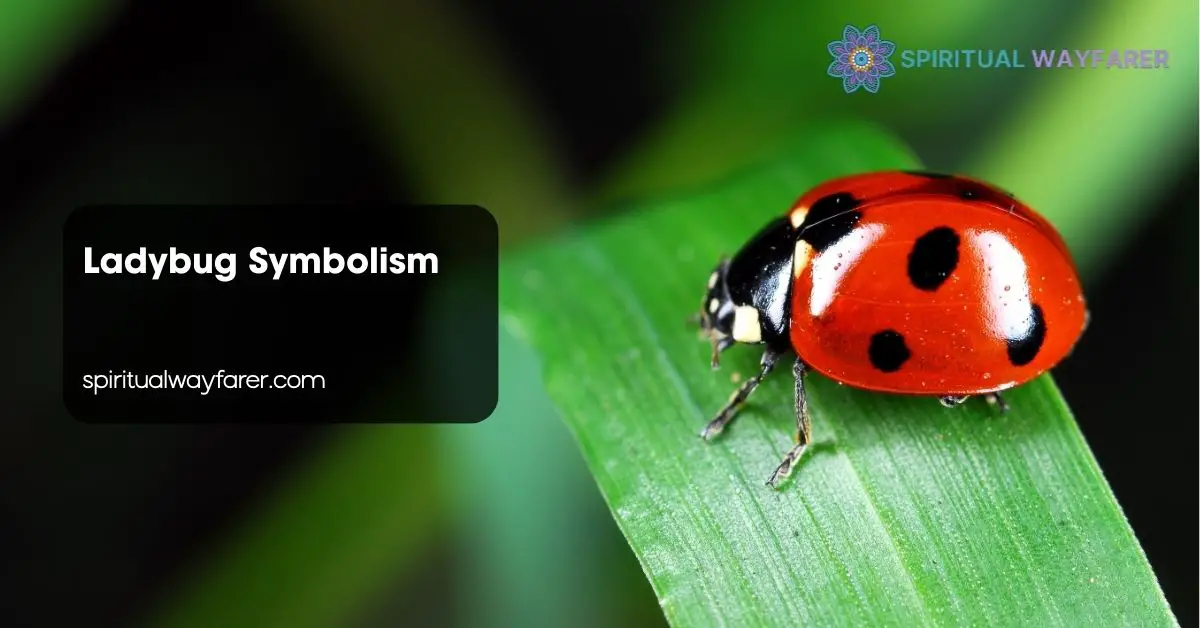 Ladybug Symbolism