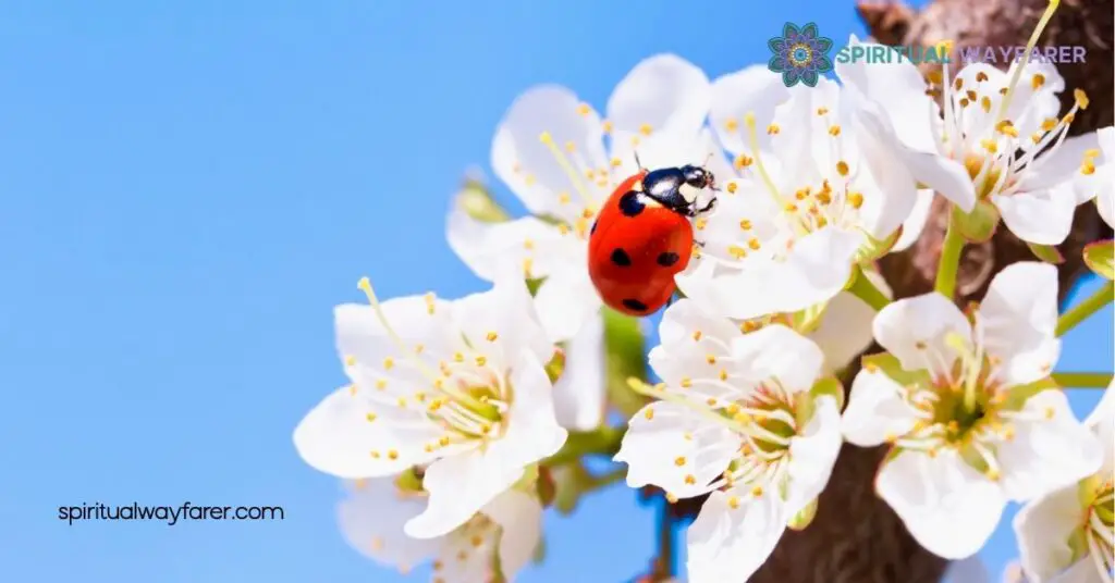 Unlocking Ladybug Symbolism: Discover the Hidden Meanings Behind These Lucky Beetles 4 Ladybugs in Art and Literature