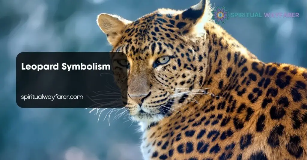 Leopard Symbolism
