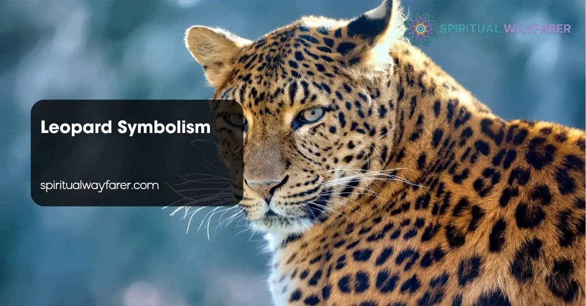 Leopard Symbolism