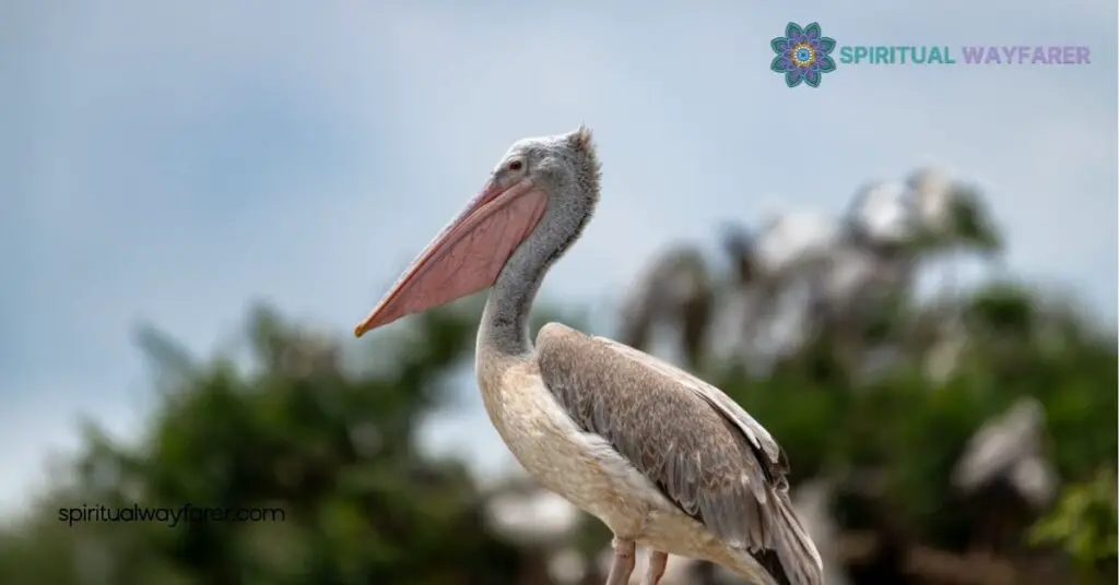 Pelican Symbolism: Exploring the Deep Meanings in Culture, Art & Religion 3 Literary Symbolism