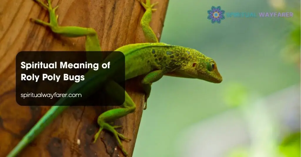 Lizard Spirit Animal Meaning