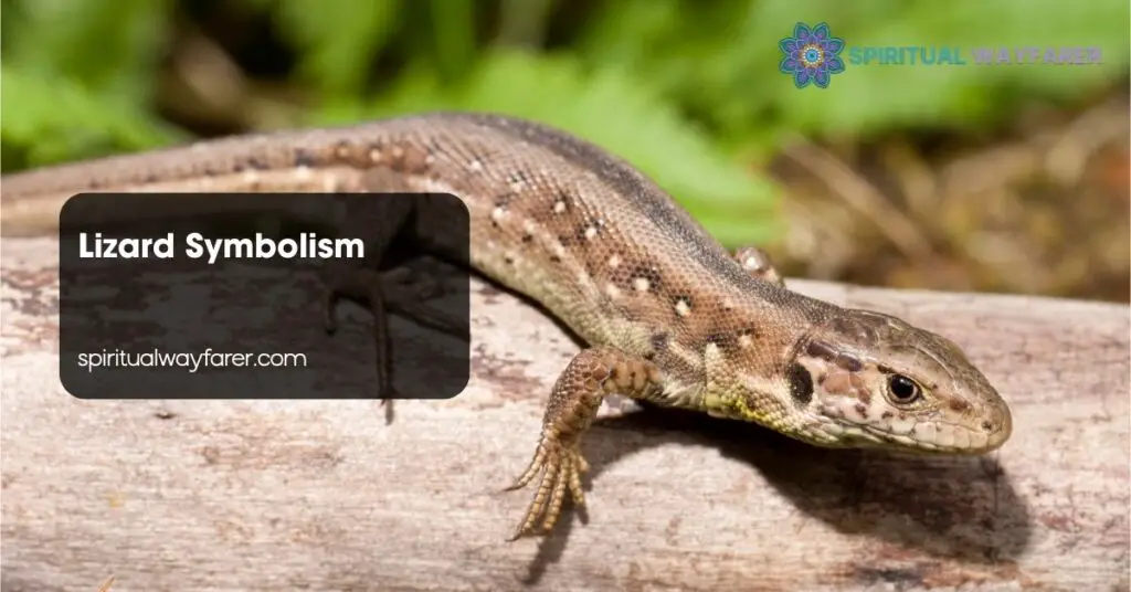 Lizard Symbolism