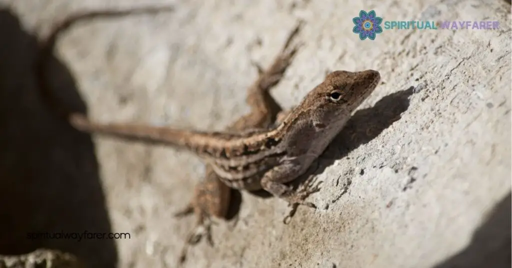 Discover Lizard Symbolism: Resilience & Transformation Across Cultures 4 Lizard Symbolism in Art and Literature