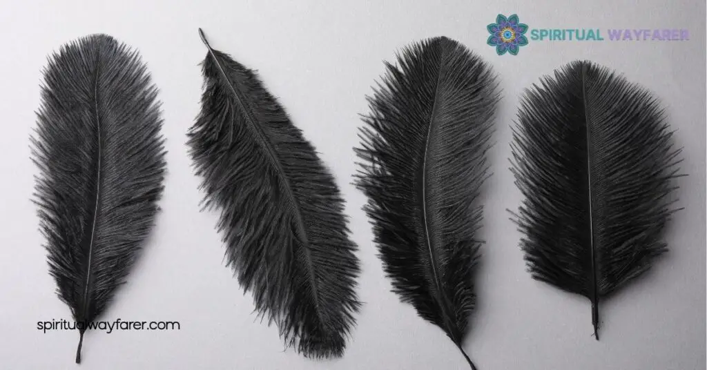 Discover the Biblical Meaning of Grey and Black Feathers: Spiritual Insights 3 Meaning Of Black Feathers