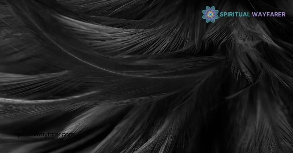 Black and Grey Feather Symbolism Meaning: Secrets of Transformation and Balance 1 Meaning of Black Feathers