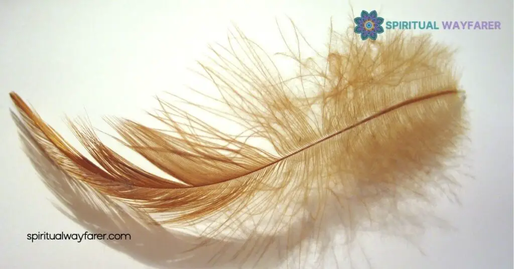 Biblical Meaning Brown White Feathers: Uncover Their Spiritual Significance 2 Meaning of Brown Feathers