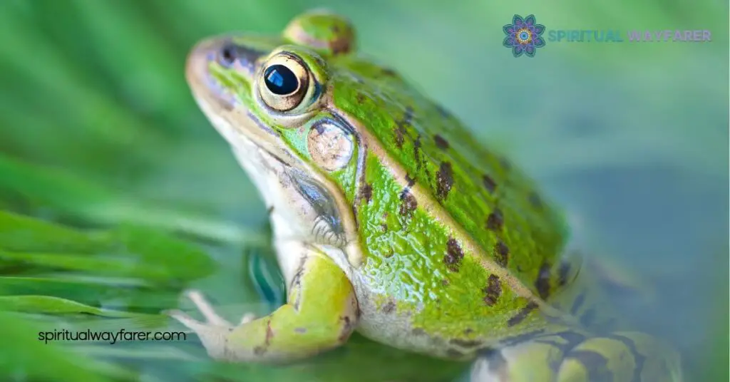 Frog Symbolism Explained: Discover Its Mystical Meaning Across Cultures 1 Meaning of Frog Symbolism