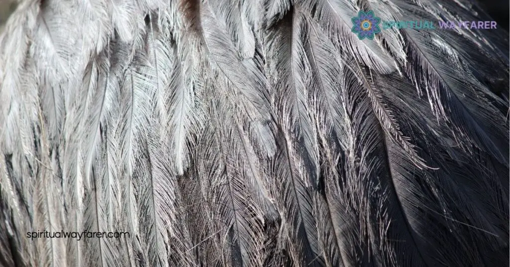 Black and Grey Feather Symbolism Meaning: Secrets of Transformation and Balance 2 Meaning of Grey Feathers