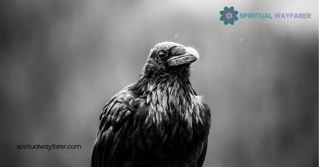 Understanding Crow Symbolism: Meanings, Myths, and Cultural Insights 4 Modern Interpretations of Crow Symbolism