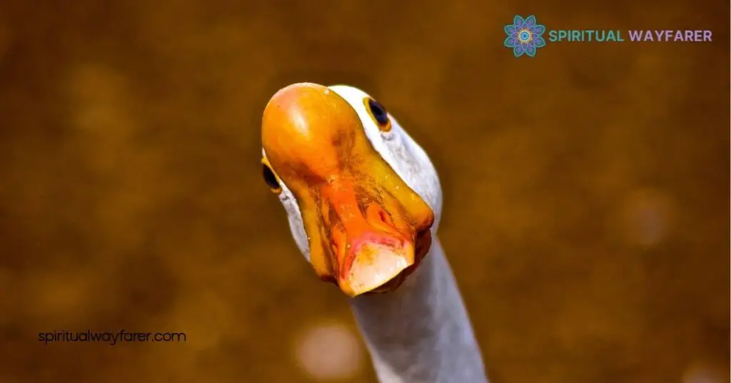 Unlocking Goose Symbolism: What These Birds Reveal About Loyalty and Culture 4 Modern Interpretations of Goose Symbolism