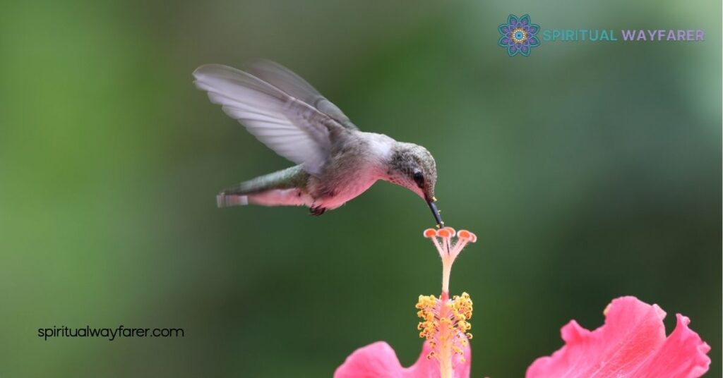 Unlock the Secrets of Hummingbird Symbolism: Meaning, Culture & Inspiration 4 Modern Symbolic Usage