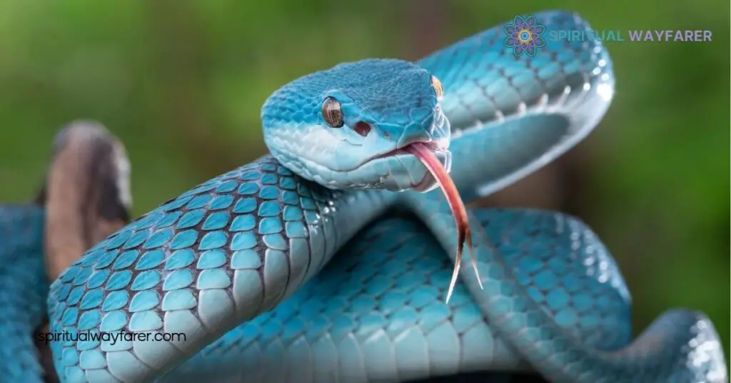 Understanding Snake Symbolism: History, Myths, and Spiritual Significance 4 Modern Symbolism