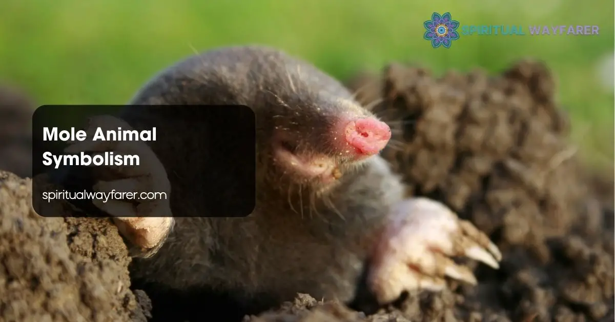 Mole Animal Symbolism