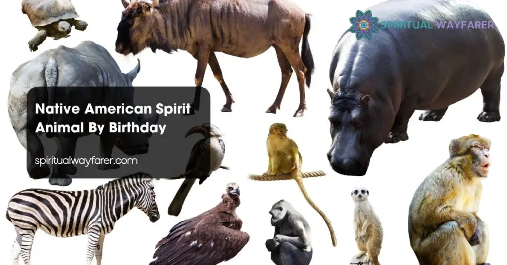 Native American Spirit Animal By Birthday