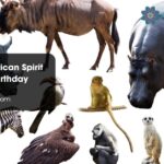 Native American Spirit Animal By Birthday