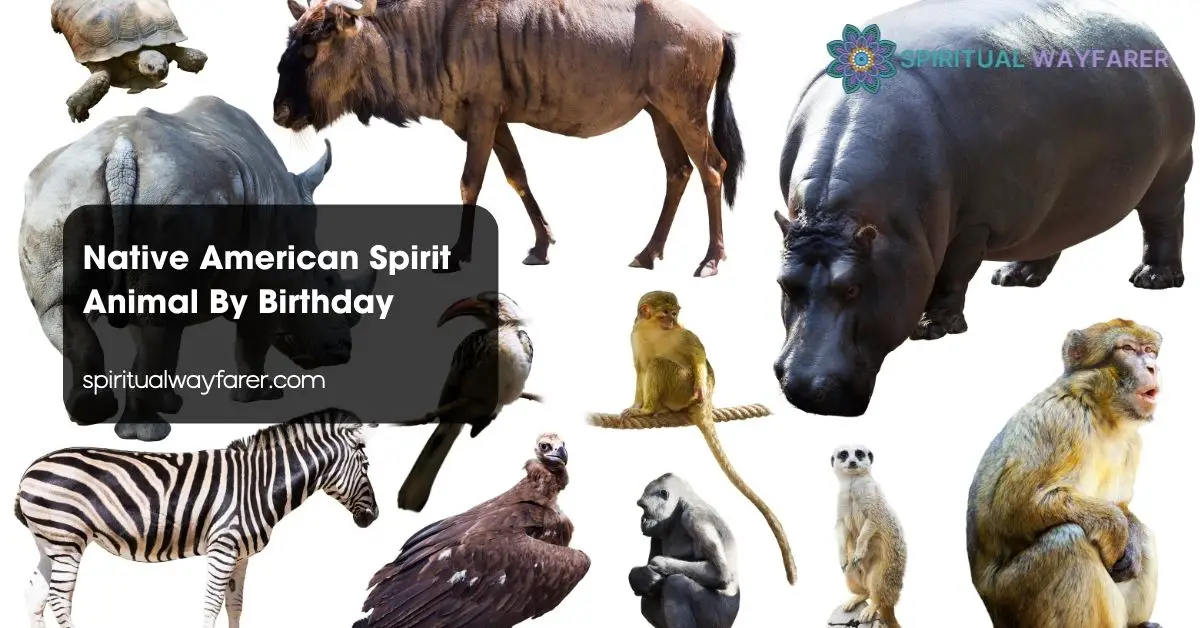 Native American Spirit Animal By Birthday