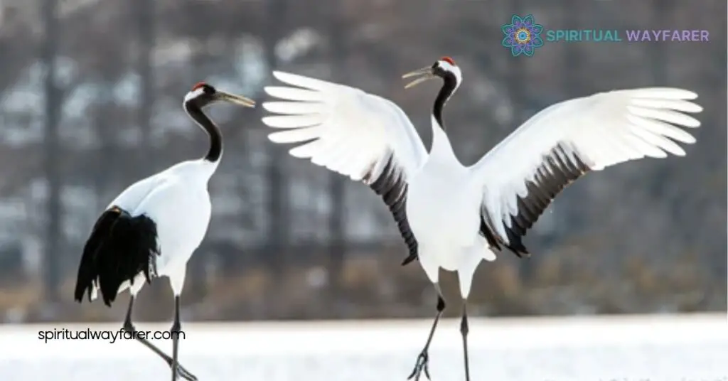 Crane Symbolism: Uncover the Ancient Meanings and Modern Significance 1 Origin Of Crane Symbolism
