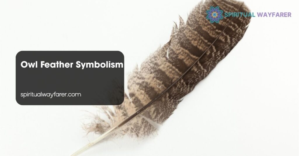 Owl Feather Symbolism