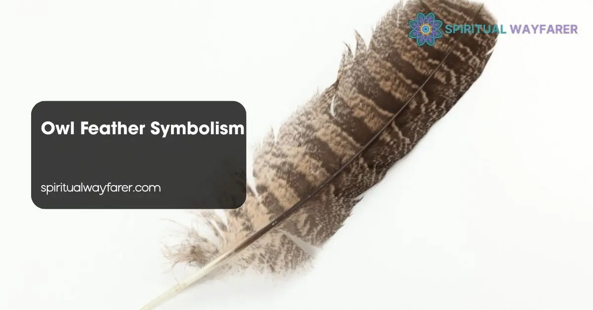 Owl Feather Symbolism