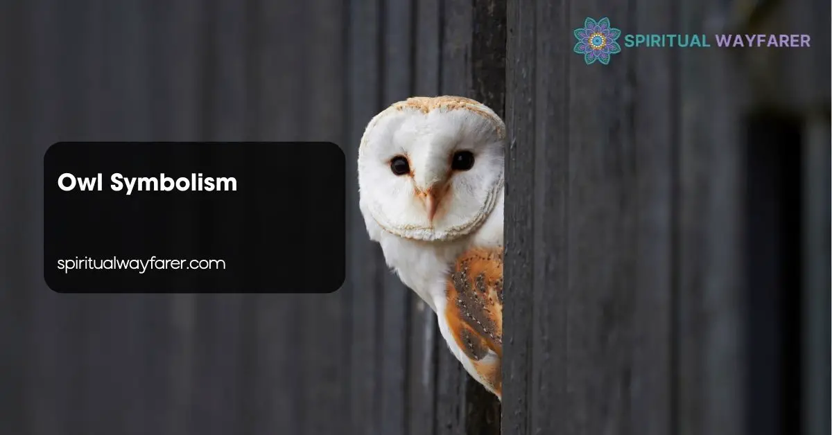 Owl Symbolism