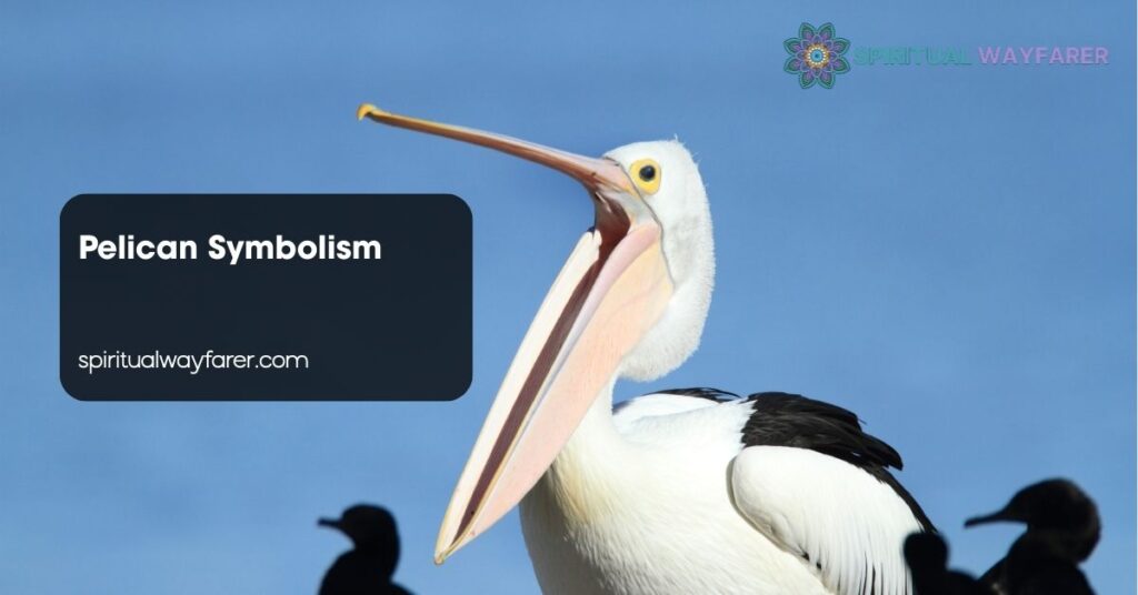 Pelican Symbolism