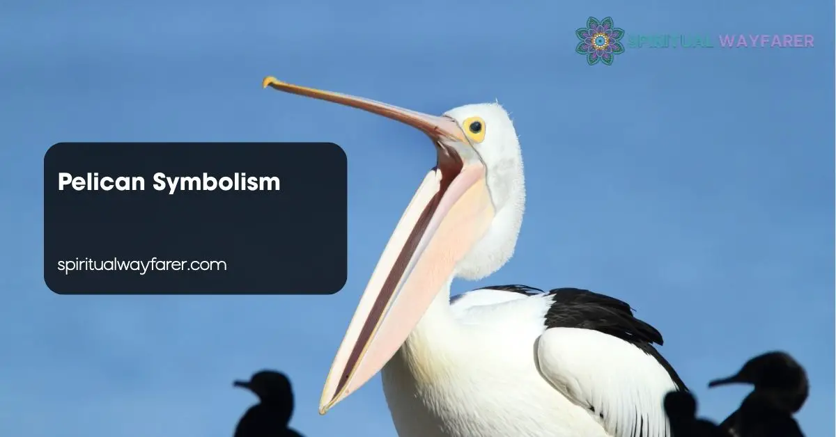 Pelican Symbolism