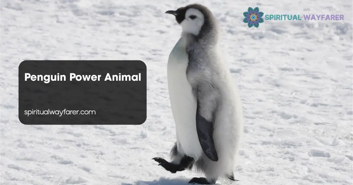 Penguin Power Animal