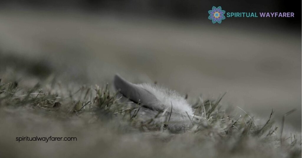 Discover the Spiritual Meaning of Finding Feathers on the Ground 4 Personal Experiences and Interpretations