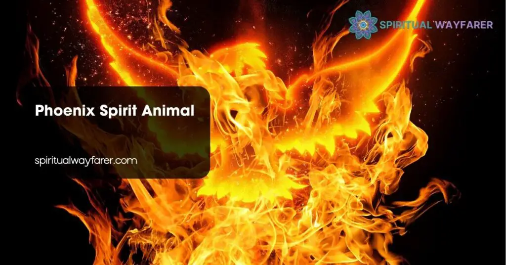 Phoenix Spirit Animal