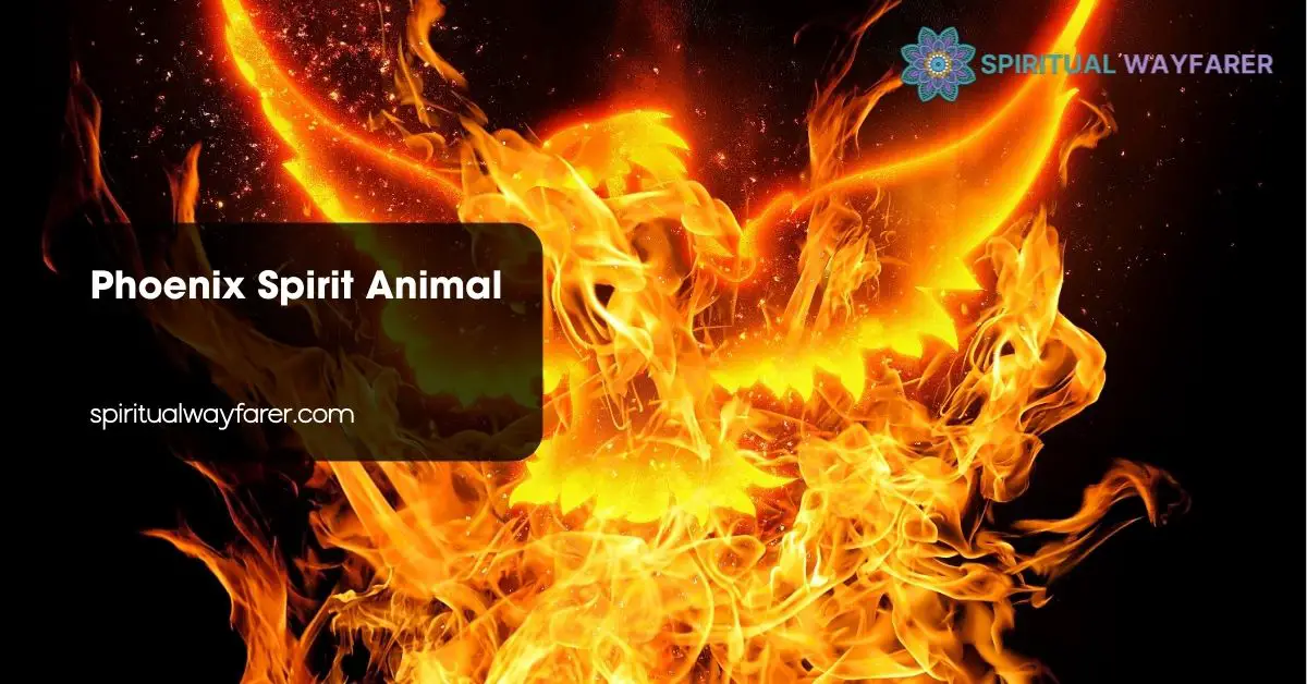 Phoenix Spirit Animal