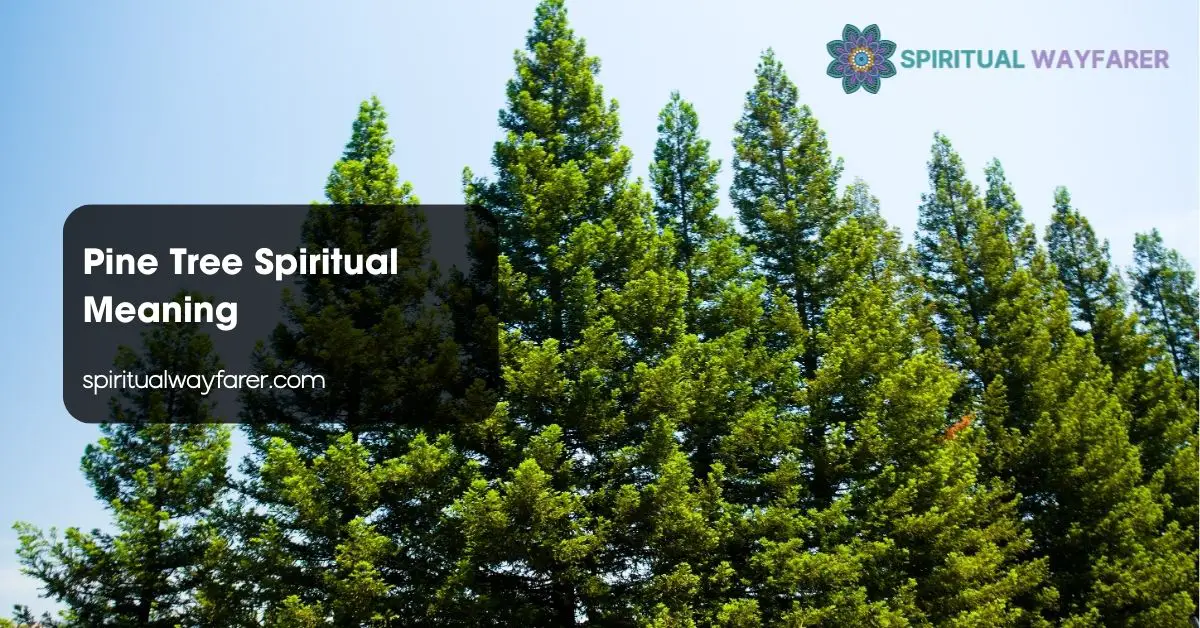 Pine Tree Spiritual Meaning