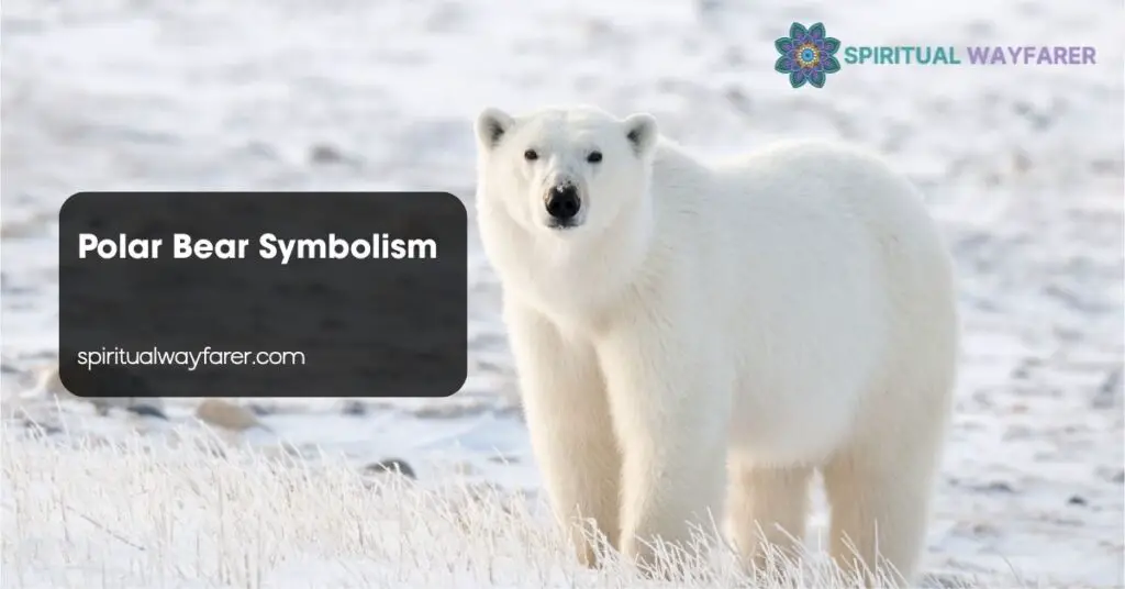 Polar Bear Symbolism