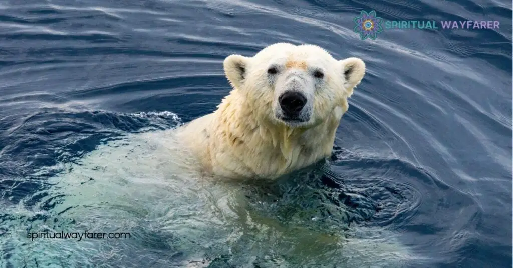 Exploring Polar Bear Symbolism: Strength, Resilience & Environmental Significance 4 Polar Bear Symbolism in Modern Media