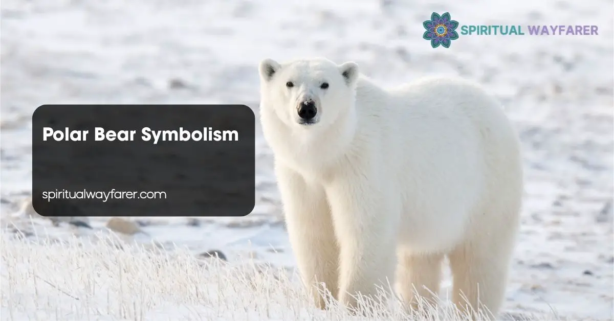 Polar Bear Symbolism