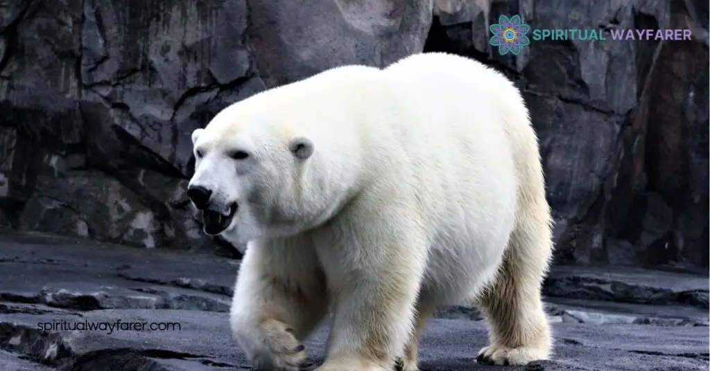 Exploring Polar Bear Symbolism: Strength, Resilience & Environmental Significance 3 Polar Bears in Literature and Art